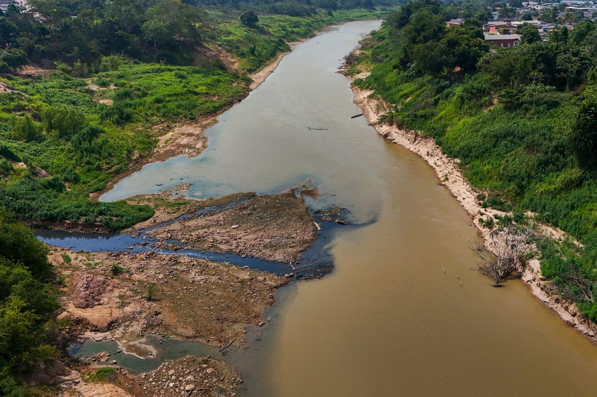 Der Amazonas gehört zu den gefährdeten Systemen.