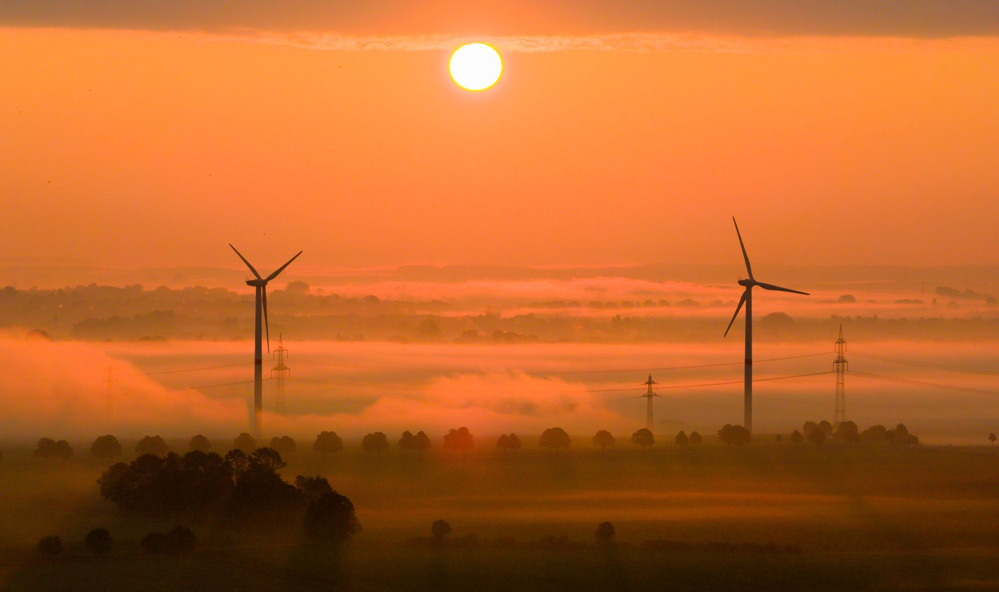 Die OECD fordert mehr Tempo beim Klimaschutz. (Archivbild)