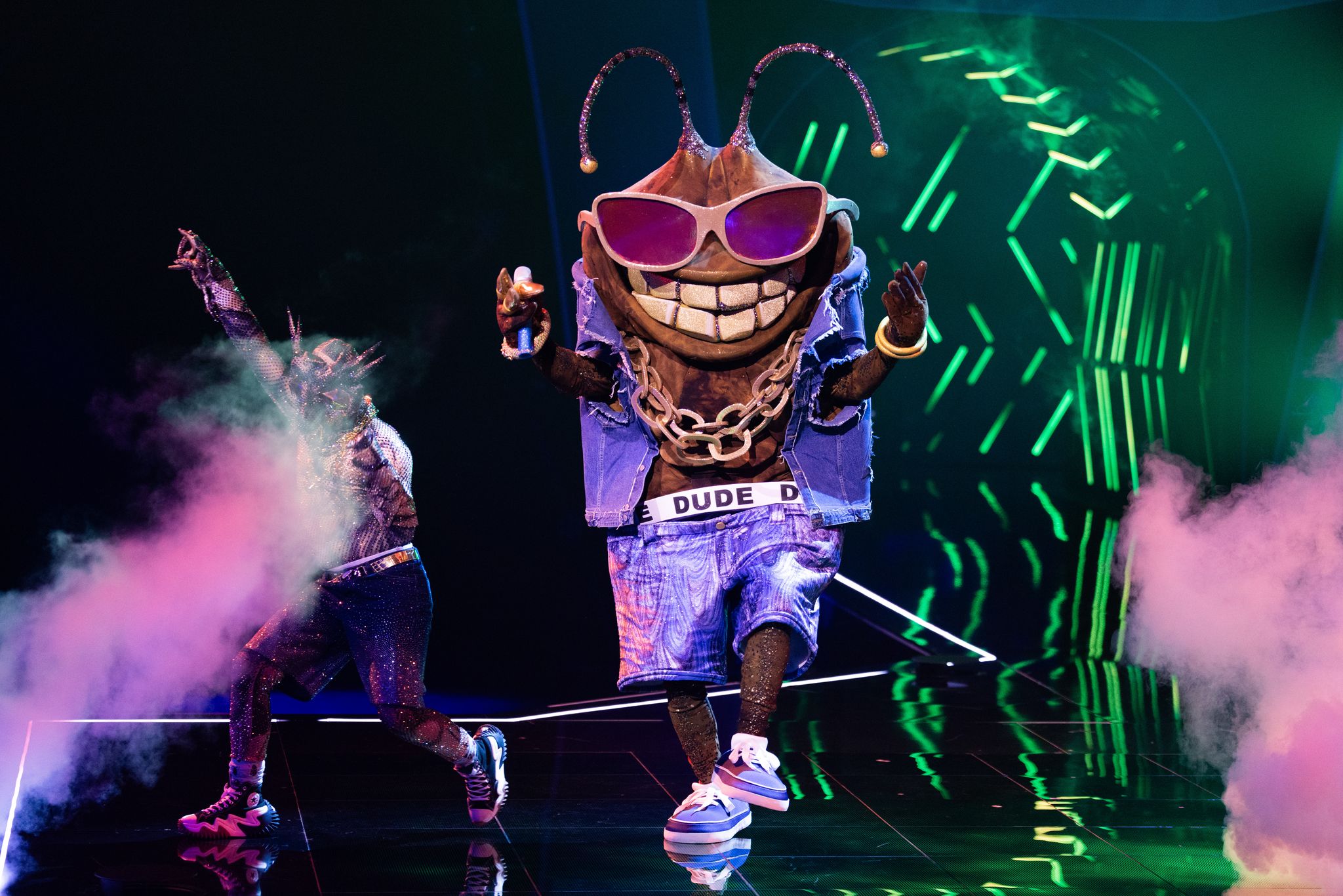 Die Stinkwanze «Dude» ist bei der ProSieben-Show «The Masked Singer» raus. (Archivbild)
