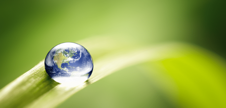 Foto: Thomas Vogel / iStock Regentropfen auf einem Halm