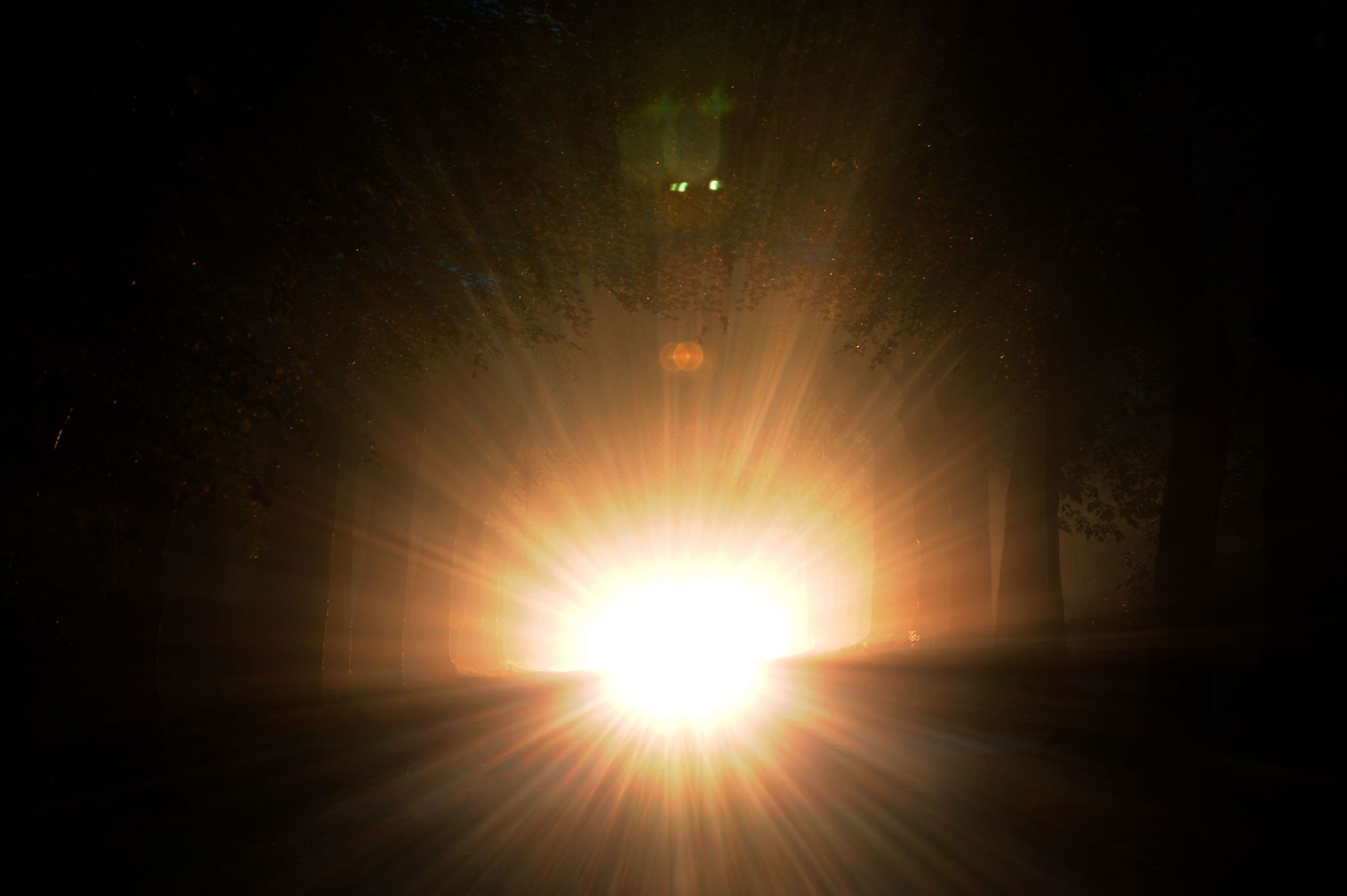 Plötzliche Blendung, etwa durch Fernlicht, überfordert die Anpassungsfähigkeit der Augen und schränkt das Sehen vorübergehend stark ein