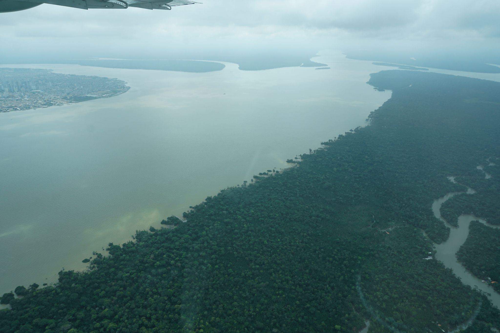 Durch den an die Millionenstadt Belém grenzenden Wald fließt der Fluss Guama.