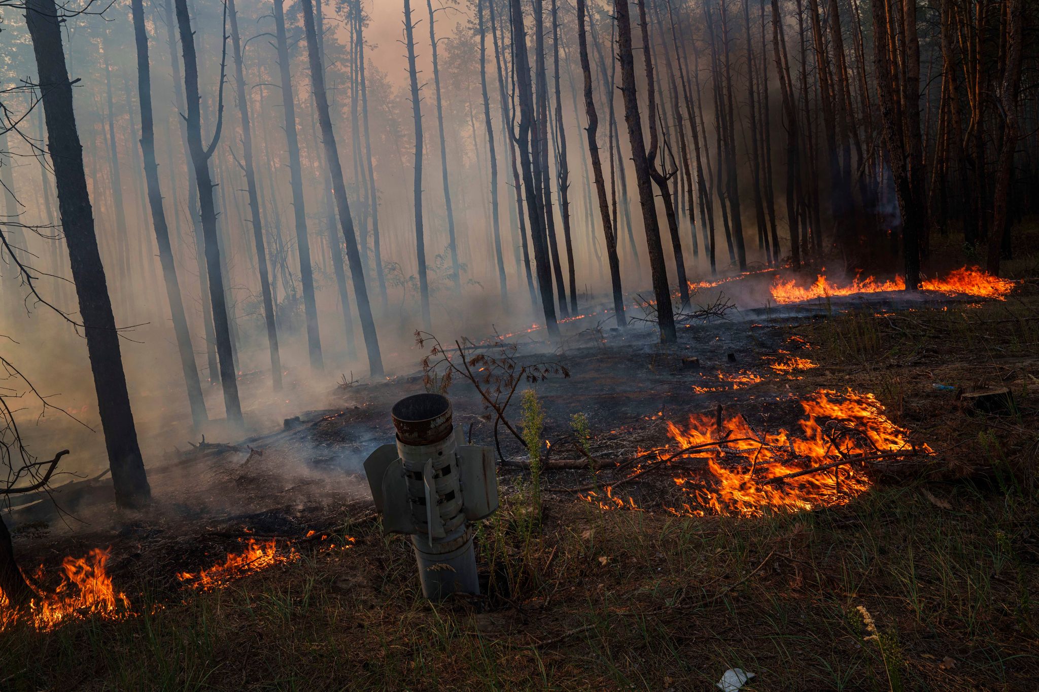Abgebrannte Wälder, dazu Abgase von Militärfahrzeugen: Auch für das Klima ist der russische Angriffskrieg gegen die Ukraine eine Katastrophe. (Symbolbild)