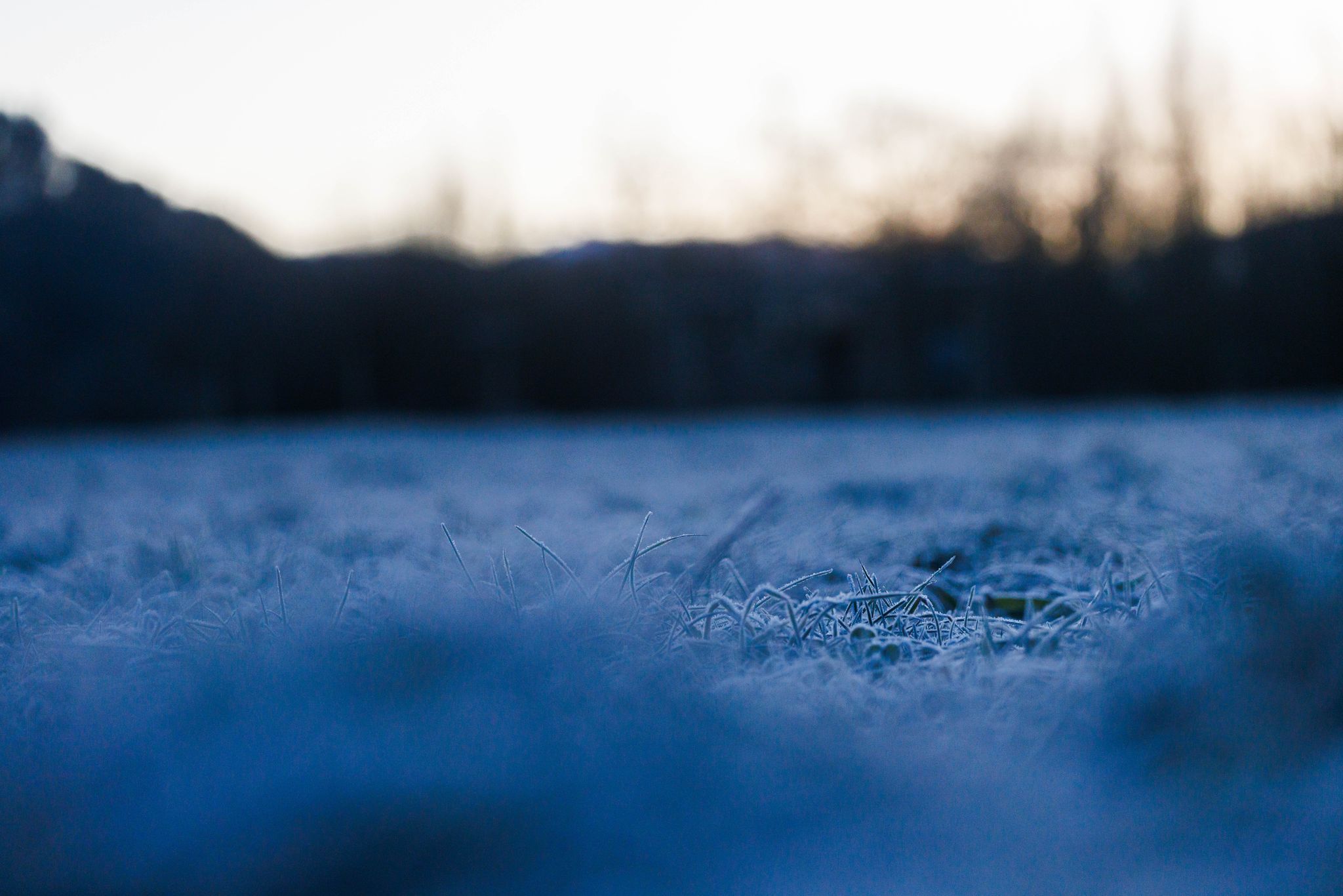 Der historische Krimi spielt in Freiburg. (Archivbild)