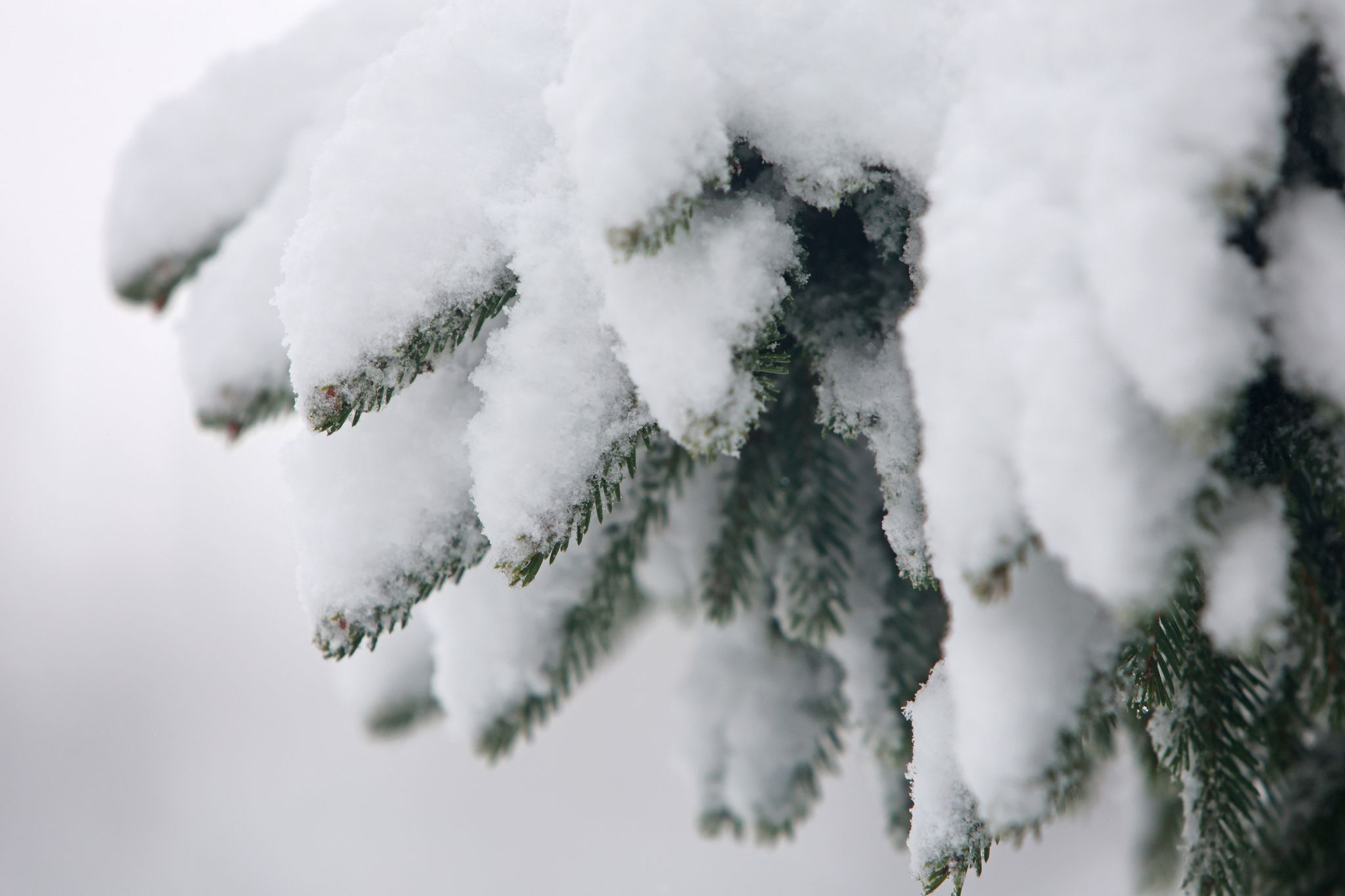 Kari Leibowitz hat ein Buch über die Vorzüge des Winters geschrieben. (Archivbild)