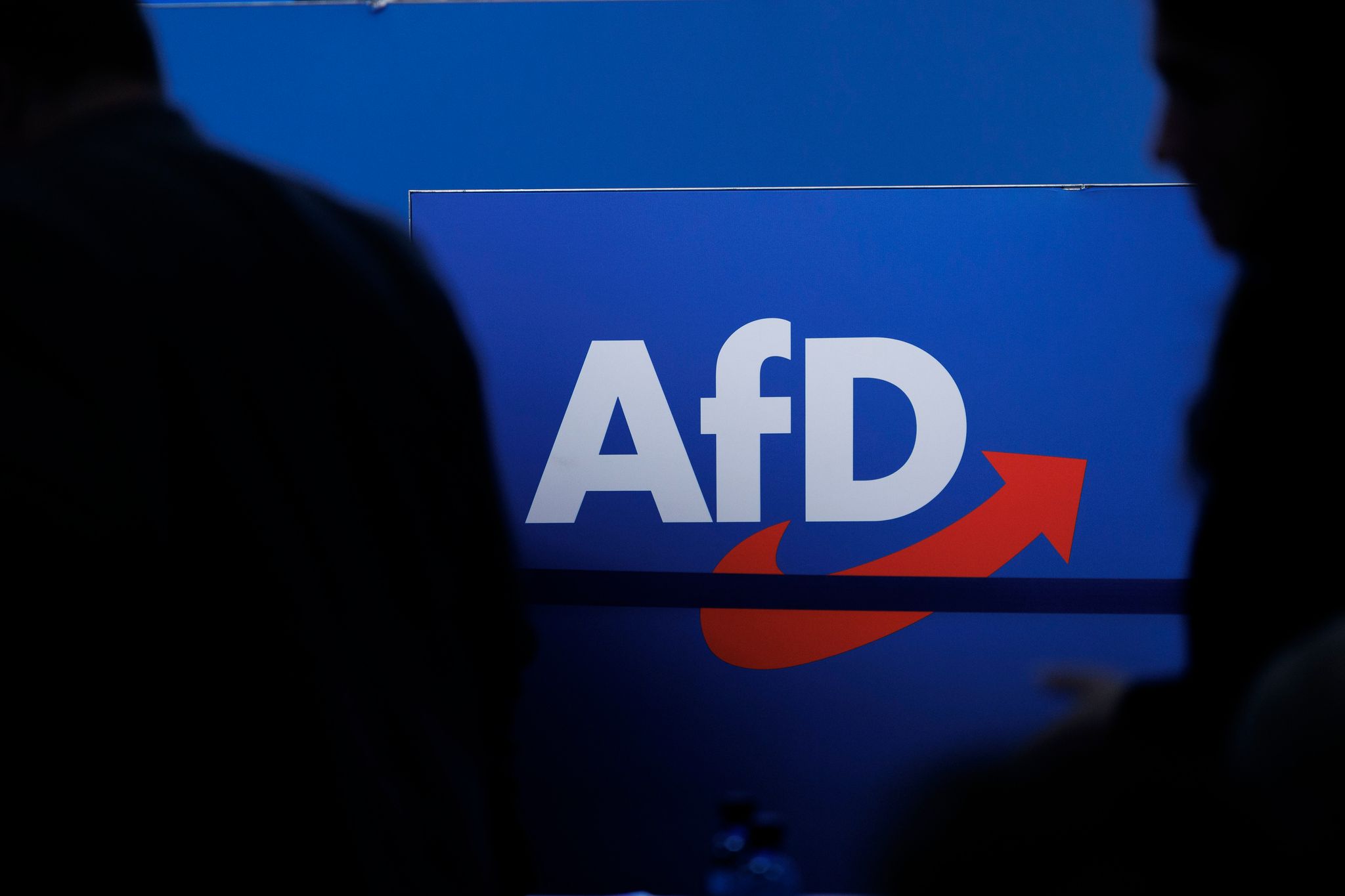 In Sachsen-Anhalt und Mecklenburg-Vorpommern liegt die AfD in den Umfragen vor den Landtagswahlen weit vorn. (Symbolbild)