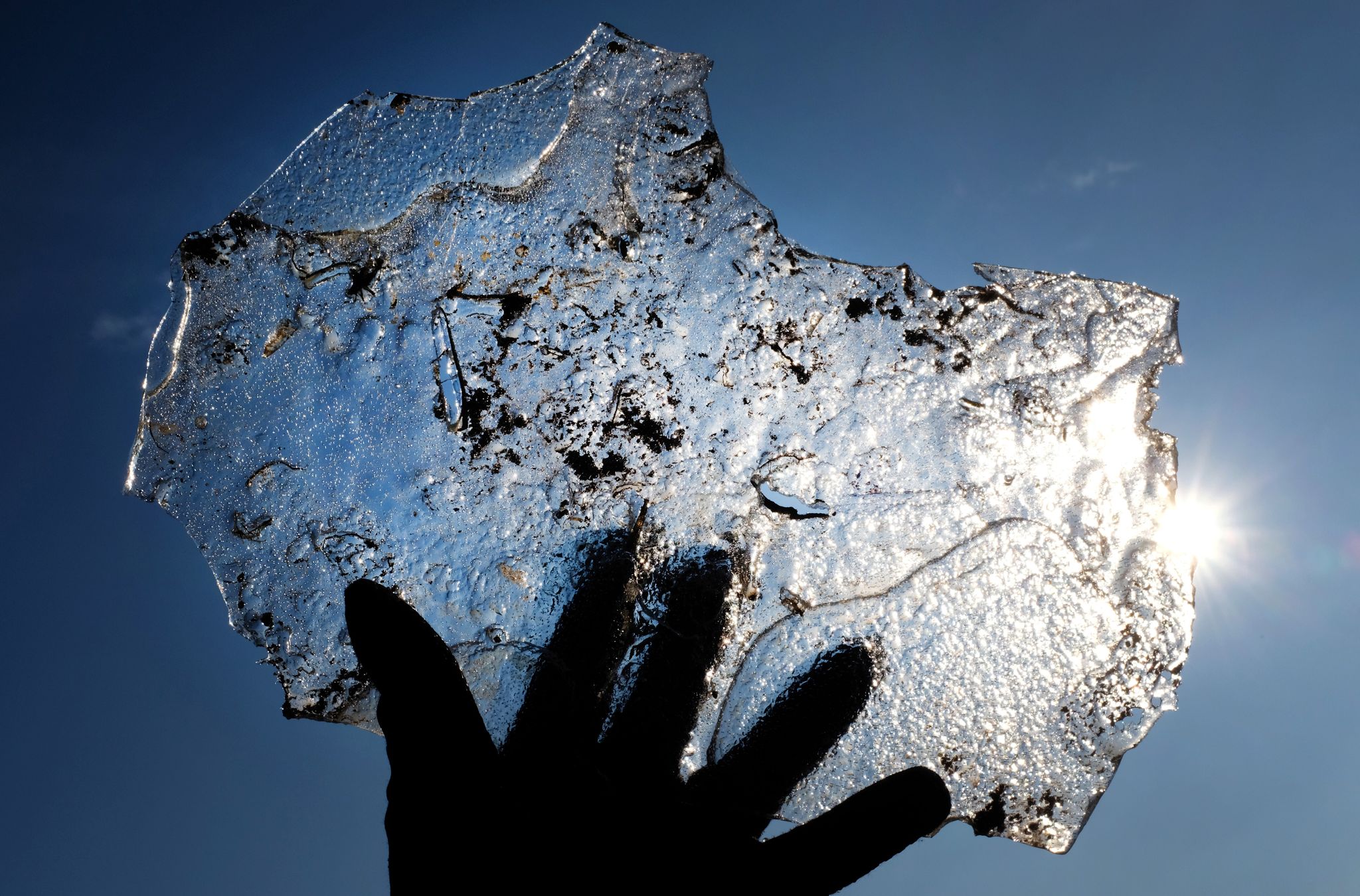 Besser mit Handschuhen! Unsere Finger sind besonders anfällig für Erfrierungen.