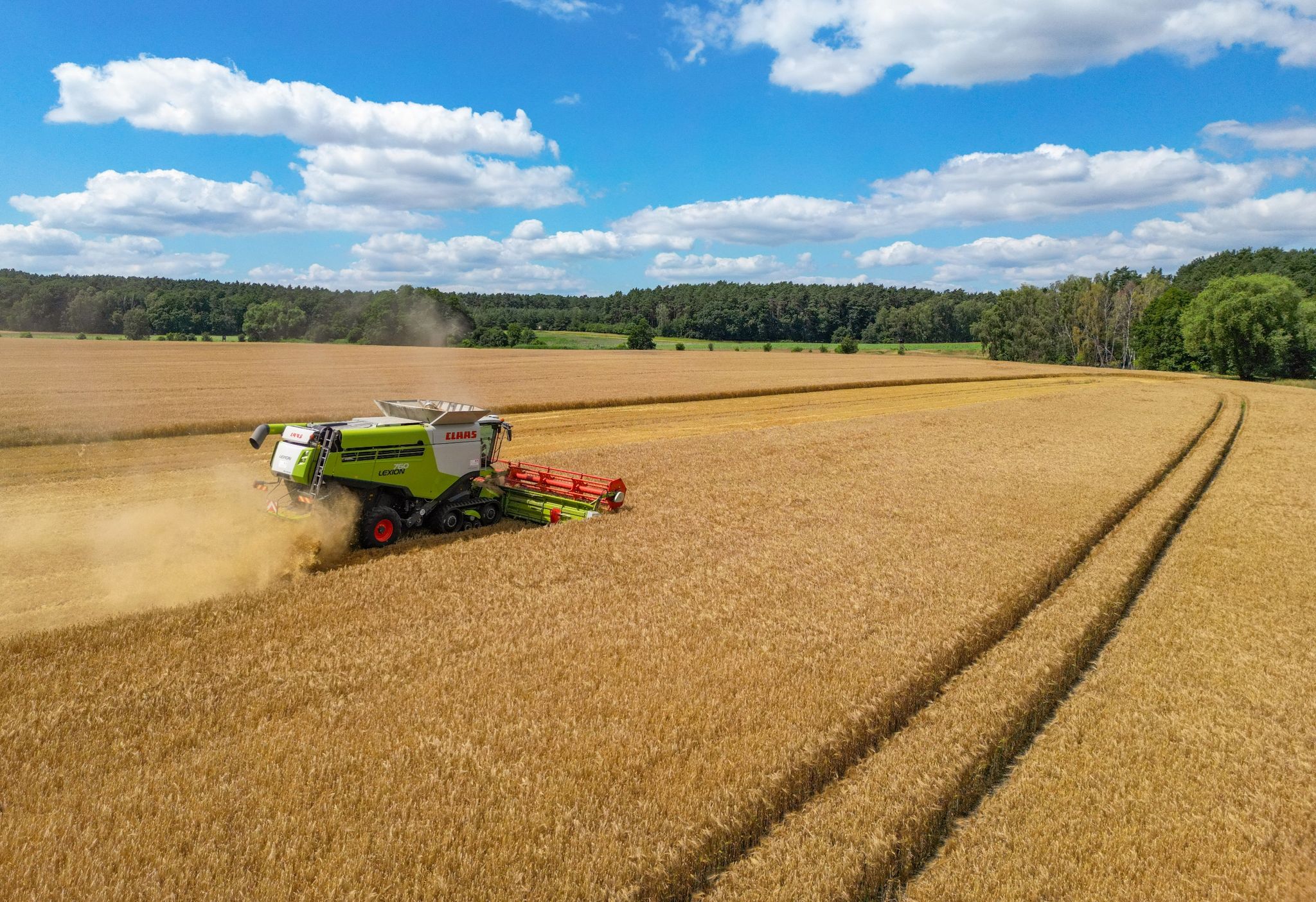 Ein Landwirt erntet mit seinem Mähdrescher Gerste auf einem Feld in Ostbrandenburg.