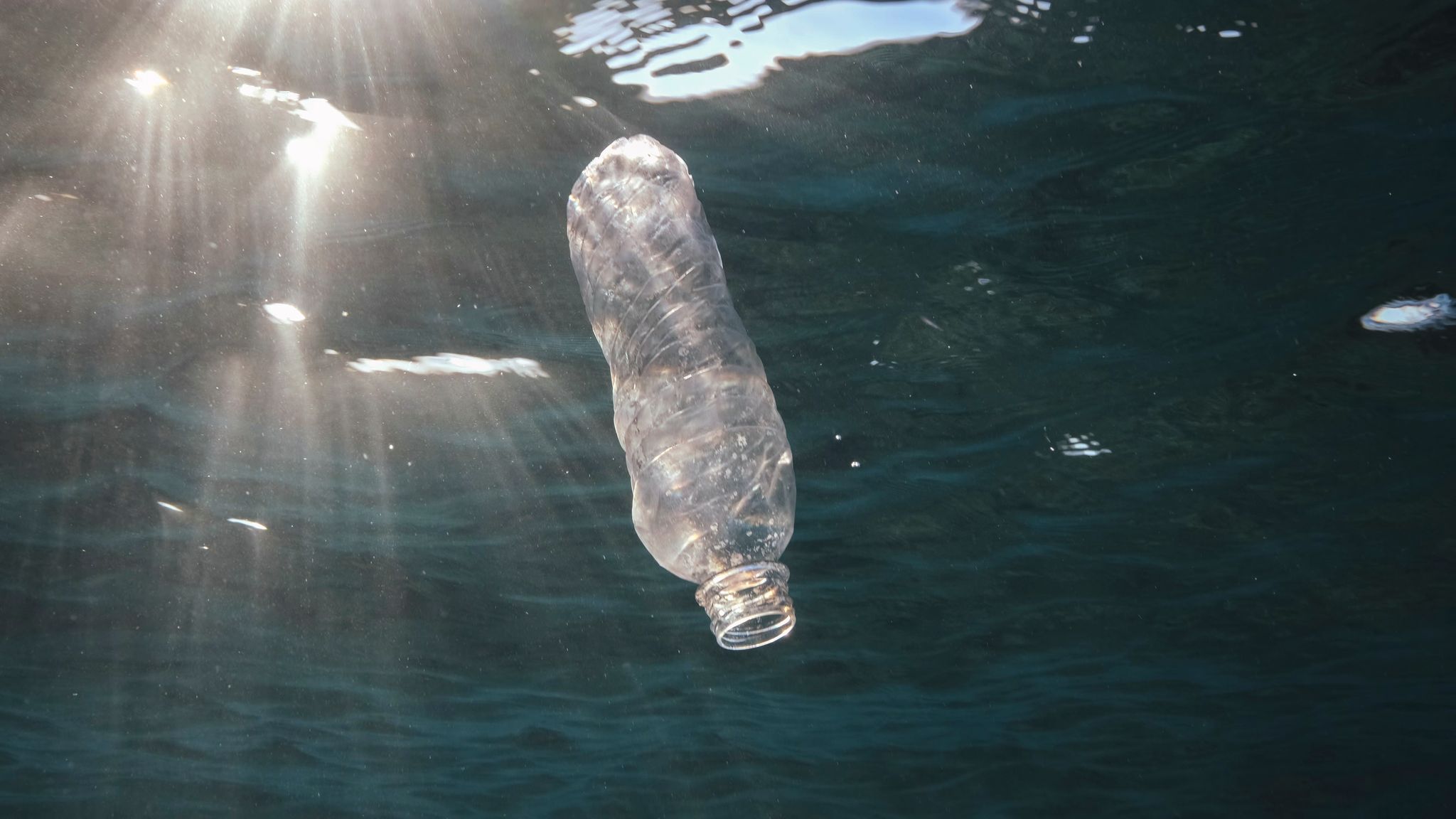 Eine weggeworfene Plastikflasche im Roten Meer vor Ägypten.