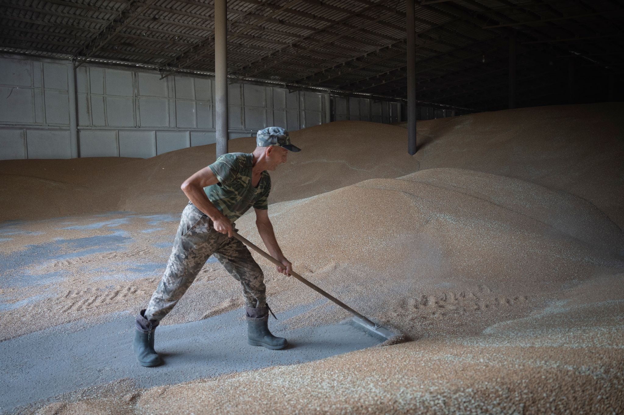 Die Einfuhr von Weizen aus der Ukraine bleibt zunächst zollfrei.