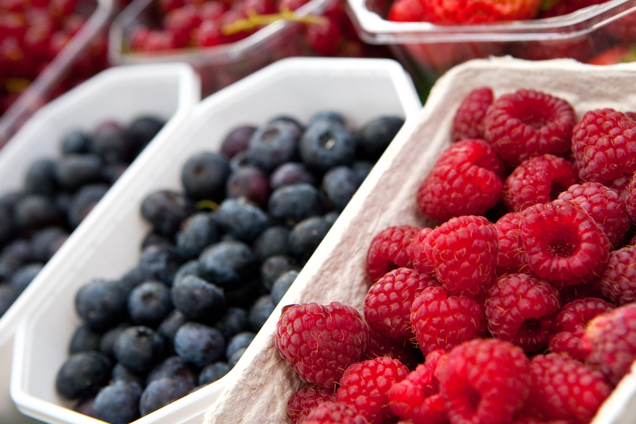 Enthalten unter anderem Vitamin C: Heidelbeeren und Himbeeren sollten beim Kauf in der Schale schön prall sein. Zu Hause lagert man sie flach drapiert und kühl.