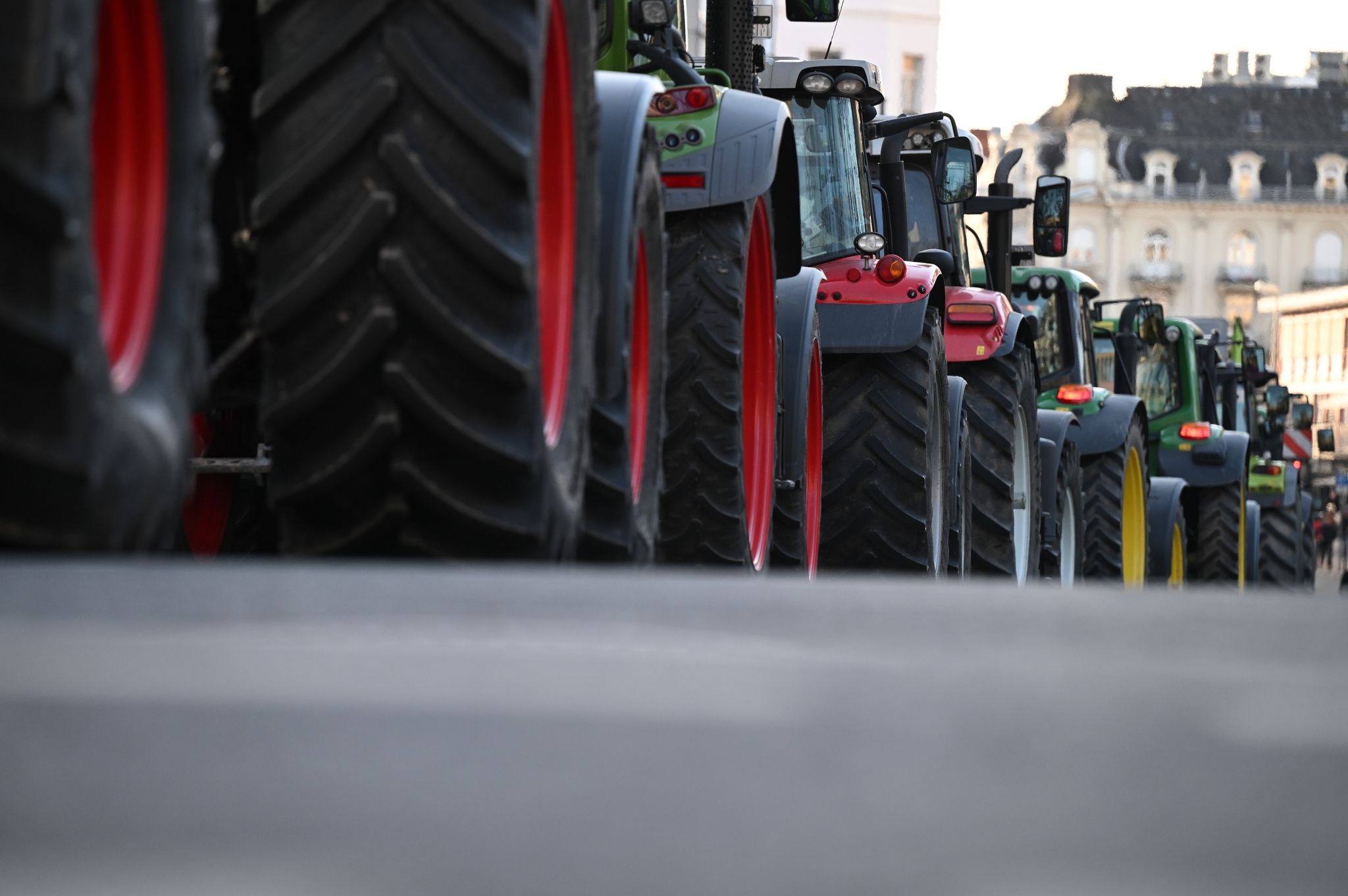 Auch in den Niederlanden protestieren Bauern gegen die europäische Agrarpolitik. (Symbolbild/Archivbild)