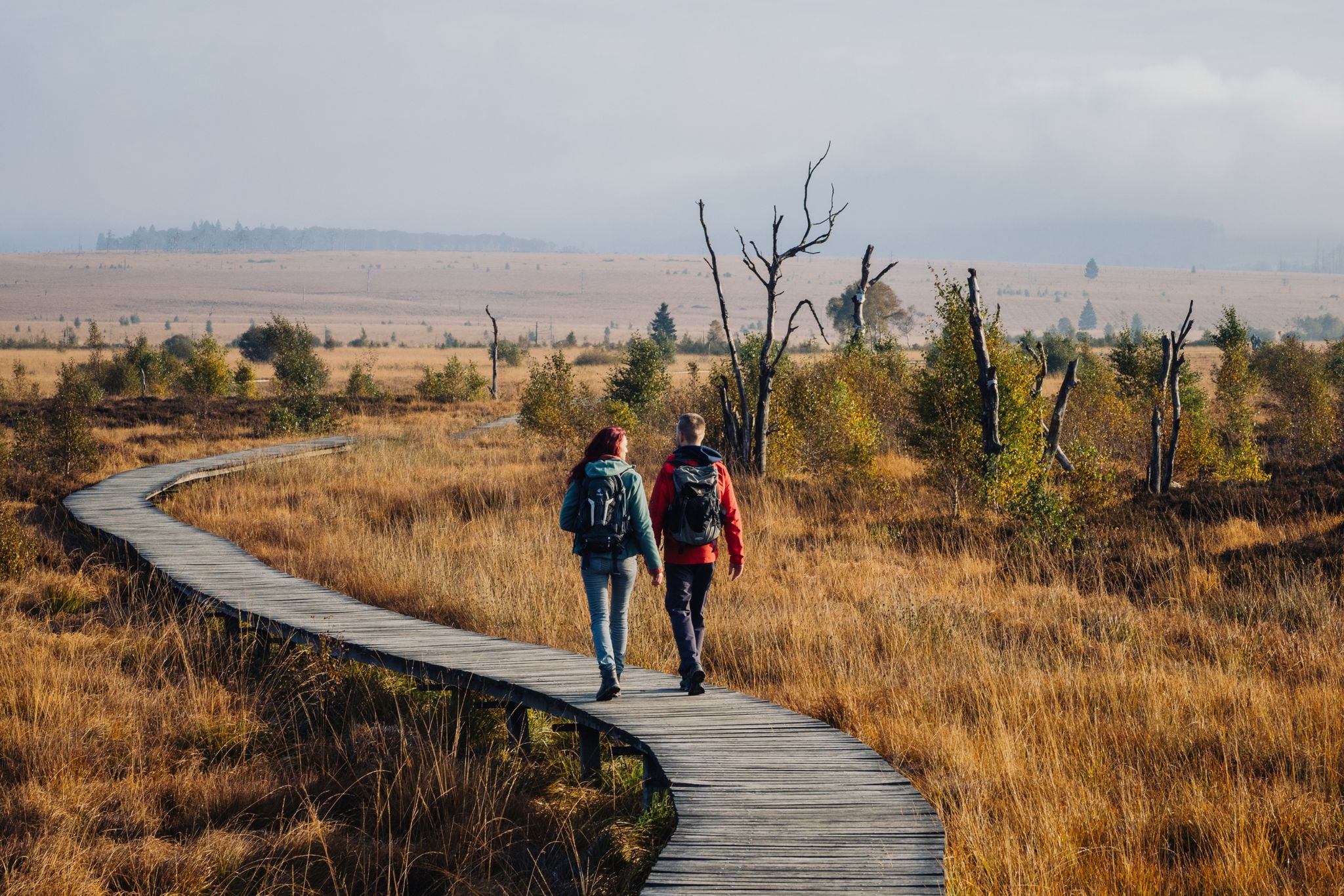 Der neue Fernwanderweg «Venntrilogie» in Ostbelgien führt unter anderem durch die Hochmoorlandschaft des Hohen Venns.