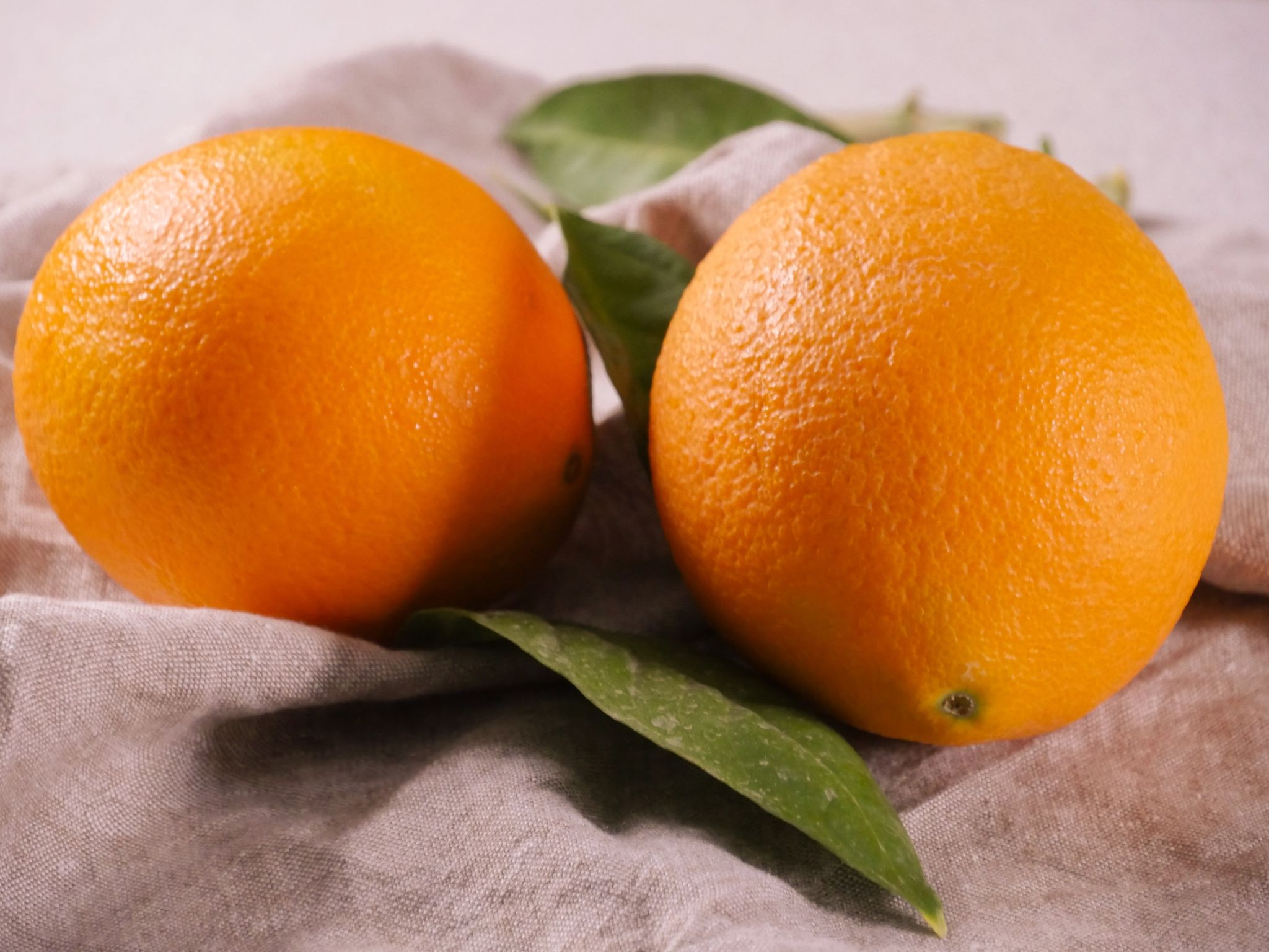 Um Orangen zu filetieren, braucht es ein großes, richtig scharfes Messer.