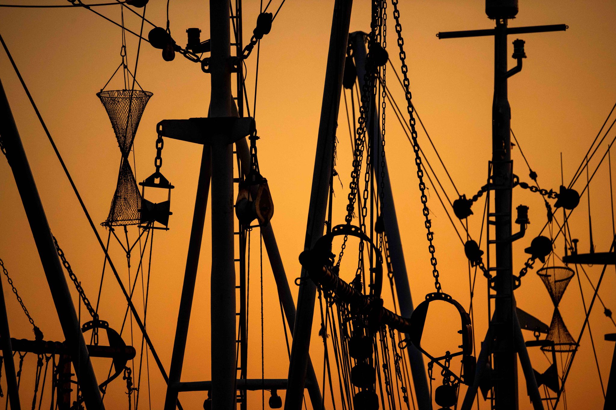 In der EU sollen die Vorgaben gegen umweltschädliche Überfischung besser kontrolliert werden.