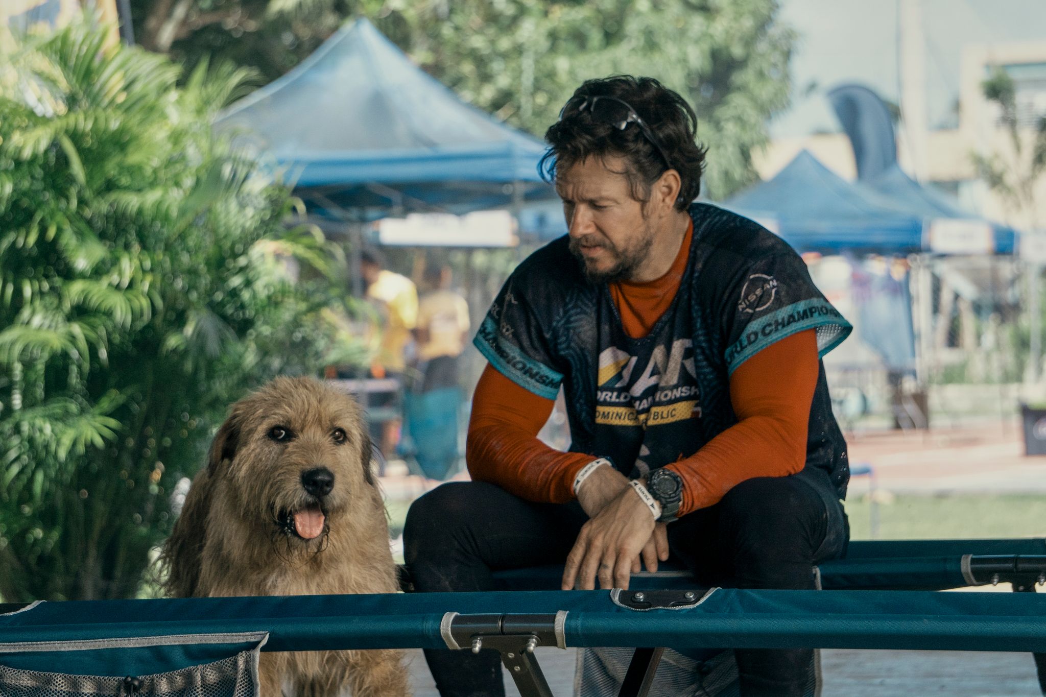 Mark Wahlberg als Michael in einer Szene des Films «Arthur der Große». Der Schauspieler setzt sich für die Adoption von Haustieren ein.
