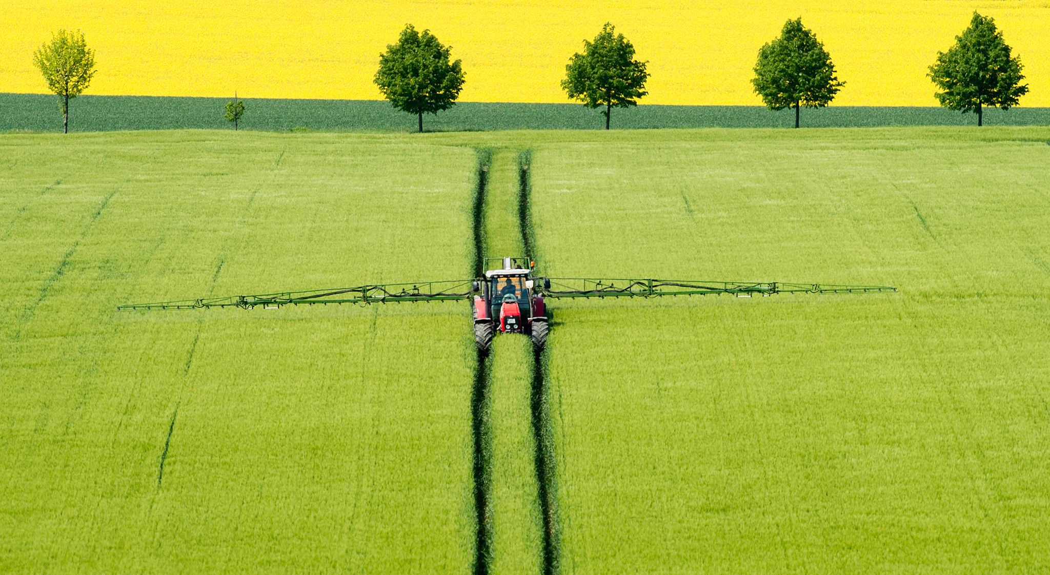 EU-Kommissionspräsidentin Ursula von der Leyen überdenkt ein Gesetz zum Pestizideinsatz in der Landwirtschaft.